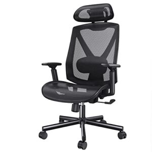 HUANUO Office Chair, Ergonomic Mesh Office Chair, Computer Chair with 2-Way Adjustable Lumbar Support, Headrest and Armrest, High Back Desk Chair with Tilt Lock Function