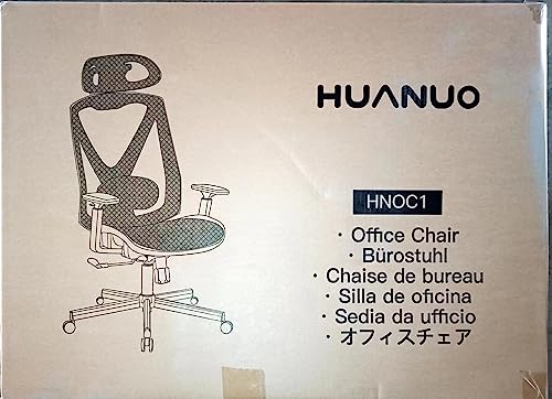 HUANUO Office Chair, Ergonomic Mesh Office Chair, Computer Chair with 2-Way Adjustable Lumbar Support, Headrest and Armrest, High Back Desk Chair with Tilt Lock Function