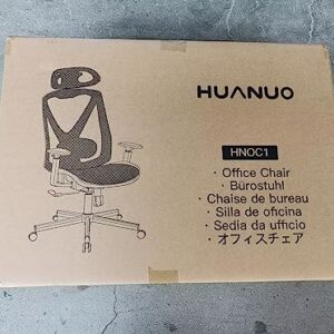 HUANUO Office Chair, Ergonomic Mesh Office Chair, Computer Chair with 2-Way Adjustable Lumbar Support, Headrest and Armrest, High Back Desk Chair with Tilt Lock Function