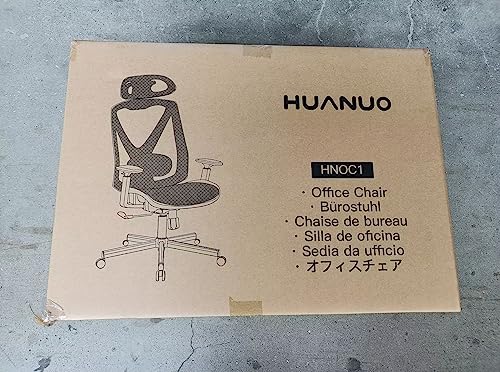 HUANUO Office Chair, Ergonomic Mesh Office Chair, Computer Chair with 2-Way Adjustable Lumbar Support, Headrest and Armrest, High Back Desk Chair with Tilt Lock Function