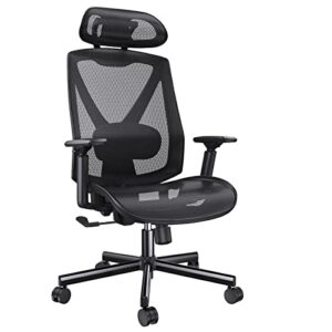 HUANUO Office Chair, Ergonomic Mesh Office Chair, Computer Chair with 2-Way Adjustable Lumbar Support, Headrest and Armrest, High Back Desk Chair with Tilt Lock Function