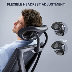 HUANUO Office Chair, Ergonomic Mesh Office Chair, Computer Chair with 2-Way Adjustable Lumbar Support, Headrest and Armrest, High Back Desk Chair with Tilt Lock Function