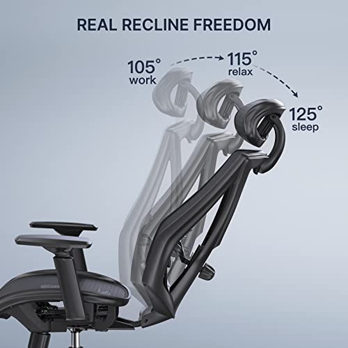 HUANUO Office Chair, Ergonomic Mesh Office Chair, Computer Chair with 2-Way Adjustable Lumbar Support, Headrest and Armrest, High Back Desk Chair with Tilt Lock Function