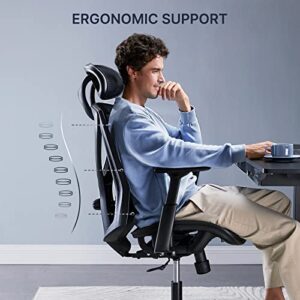 HUANUO Office Chair, Ergonomic Mesh Office Chair, Computer Chair with 2-Way Adjustable Lumbar Support, Headrest and Armrest, High Back Desk Chair with Tilt Lock Function