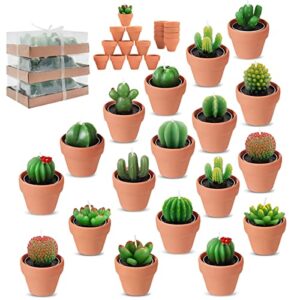 18pcs cactus tealight candles tea party decorations succulent baby shower fiesta party favors home decor plant gifts t light candles in bulk