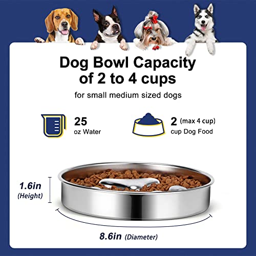 AIPERRO Slow Feeder Dog Bowls 304 Stainless Steel, 2 Cups Metal Food Bowls, Water Bowl for Small & Medium Sized Dogs, Fun Bloat Stop Pet Fast Eaters