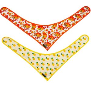 cartisanat dog bandanas, 2 pack fruit & pumpkin set triangle reversible pet scarf adjustable fit triangle bibs accessories, multiple sizes offered for small medium & large dogs.