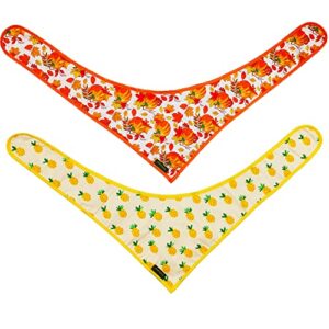 Cartisanat Dog Bandanas, 2 Pack Fruit & Pumpkin Set Triangle Reversible Pet Scarf Adjustable Fit Triangle Bibs Accessories, Multiple Sizes Offered for Small Medium & Large Dogs.