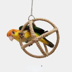bird hanging ball with bell chewing treat toy for small medium large parrot parakeet cockatiel conure lovebird quaker caique african grey (small)