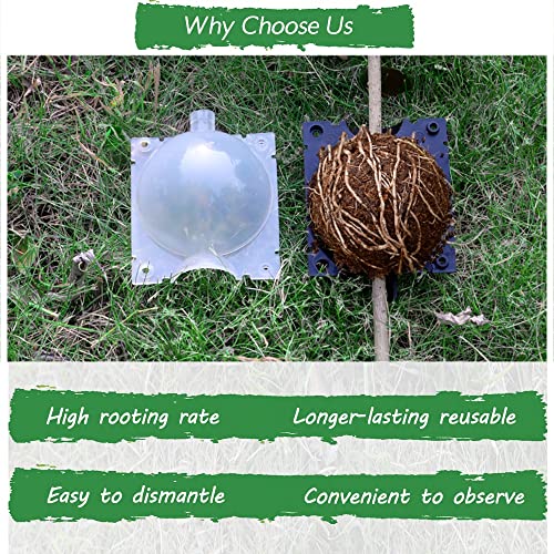 SupKing Half Black Half Transparent Plant Rooting Propagation Ball,Air Layering Kit,Assisted Cutting Rooting,Reusable Plant Rooting Device,High Pressure Ball Grafting Device Root box for Plants Rose.(8pack)