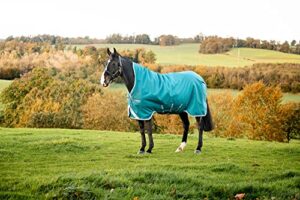 horseware ireland amigo bravo 12 wug 250g storm green/turquoise 72