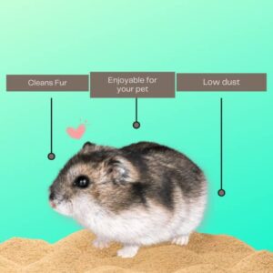 (12lb Bag) Hamster or Gerbil Bathing Sand Litter- All Natural Dry Desert Sand