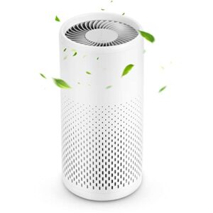 clevast air purifier for home - h13 true hepa filter air cleaner quality sensors for large room with japanese motor, low noise, remove 99.97% smoke, pollen, pet dander, dust (cl-ap200)