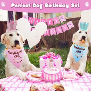 Dog Birthday Party Supplies for Girls, Dog Birthday Outfit - Dog Birthday Bandana, Adjustable Dog Birthday Hat, Wearable Dog Bowtie, Tutu Skirt, Happy Birthday Banner and Cake Fork (Pink)