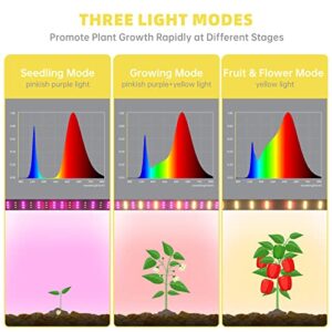 Mini Greenhouse with Grow Light , 4 Tier 27.2"L×19.9"W×61.8"H Portable Greenhouse with Zippered PVC Cover for Seed Starting Trays , Dimmable 2ft 60W Plant Light for Indoor Plant with Timer by Bstrip