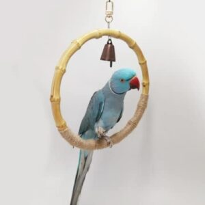 Hanging Bird Cage Swing Toy Natural Bamboo Parrot Perch Swing Hanging Bird Perch with Stand Small Wood Bird Toys Cockatiel Cage Accessory for Finch Budgie Conure (Large)