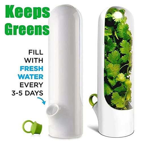 Gbbazu Herb Keeper, 1Pcs Herb Keeper Herb Storage Container Saver Preserver for Cilantro, Herb Saver Best Keeper for Freshest Produce, Asparagus, Cilantro, Mint, Parsley