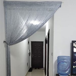 DLD String Curtains Beaded Door Curtain,Curtains Panel Divider Window Door Fly Screen for Door Wall and Window Decoration,200cm x 100 cm(200cm*100 cm,Silver), (HGB-400)