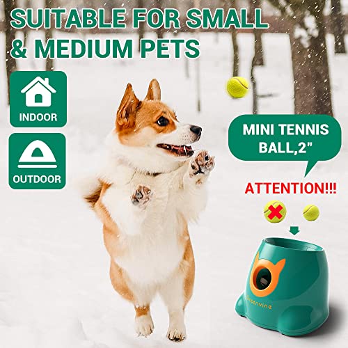 Greenvine Automatic Dog Ball Launcher Interactive Ball Thrower Fetch it Machine 6 Balls Included Premium