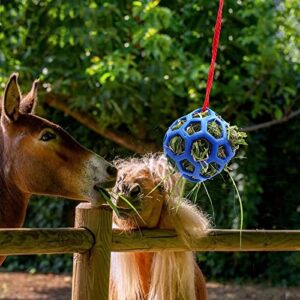 WishLotus Hay Feeder Ball, Horse Treat Ball Hanging Hay Feeder Toy to Have Fun and Relieve Stress, Horse Feed Ball to Improve Horse Digestion, Hay Ball for Horses, Sheep and Goats (Blue)