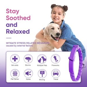 Calming Collar for Dogs 4 Packs Pheromone Collars Appeasing Dog Separation Anxiety Relief Stress 60 Days Calm Pheromones Relax Breakaway Design Adjustable Size Fit Medium Large Small Puppy(25 Inches)