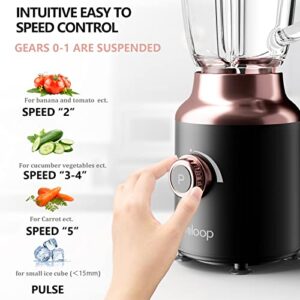 Evoloop Glass Blender, Countertop Blender, 750 Watt High Speed Smoothies Blender with 6 Blade System for Shakes, 50 oz Glass Jar, Self Cleaning