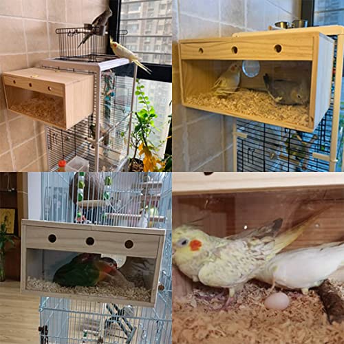 YJJKJ Pet Bird Nest Box, Parakeet Transparent Design Bird House, Wooden Bird Breeding Box Parrotlets Mating Box for Parakeet Lovebirds Budgerigar Cockatiel Conure (Medium)