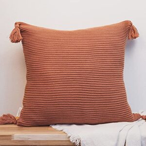 lumi living 100% soft cotton raised stripes textured rib knit throw pillow cover with tassels (20x20, rust)