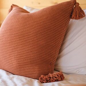 Lumi Living 100% Soft Cotton Raised Stripes Textured Rib Knit Throw Pillow Cover with Tassels (20x20, Rust)