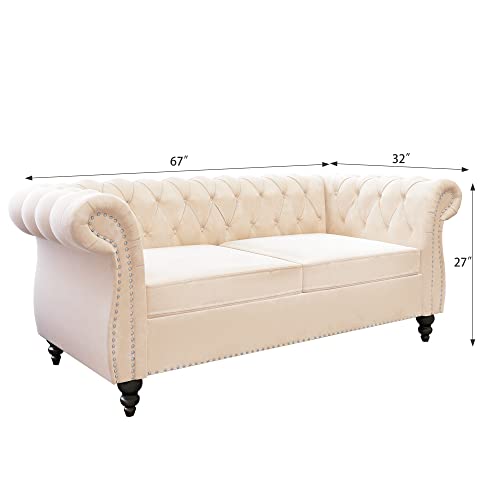 MIYZEAL Modern Chesterfield Loveseat, Velvet 2 Seater Couch Upholstered Sofa with Tufted Back, Roll Arm Classic Settee with Nailhead Trim for Living Room Bedroom (Beige)
