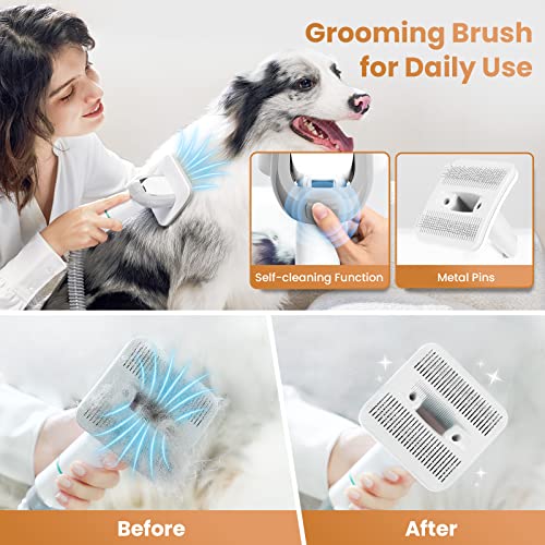 INSE P20 Pro Dog Grooming Kit, Low Noise Pet Grooming Vacuum for Dogs, Professional Dog Clippers with Powerful Vacuum Function, 5 Pet Grooming Tools for Shedding Long & Short & Thick & Thin Dogs Hair