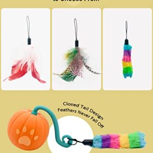 RRETECK Automatic Moving Cat Toys, Cute Interactive Cat Toys for Indoor, Cats Ball Bundle + Feather Kitten Toys in Pack. Smart Electric Teaser Cat Feather Toys, USB Rechargeable, 3 Feathers