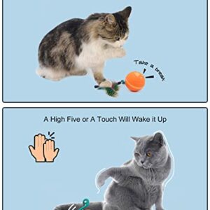 RRETECK Automatic Moving Cat Toys, Cute Interactive Cat Toys for Indoor, Cats Ball Bundle + Feather Kitten Toys in Pack. Smart Electric Teaser Cat Feather Toys, USB Rechargeable, 3 Feathers