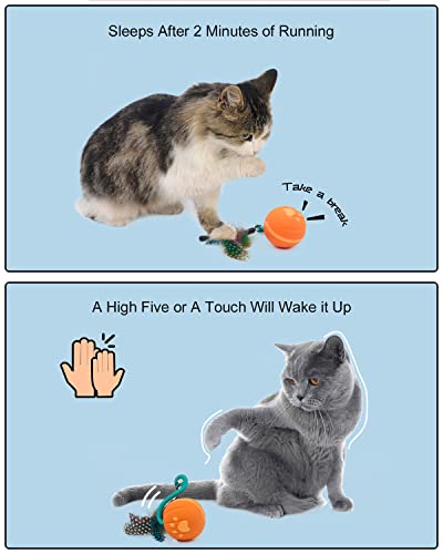 RRETECK Automatic Moving Cat Toys, Cute Interactive Cat Toys for Indoor, Cats Ball Bundle + Feather Kitten Toys in Pack. Smart Electric Teaser Cat Feather Toys, USB Rechargeable, 3 Feathers