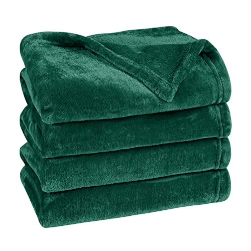 Dekoresyon Fleece Throw Blanket, Plush Fuzzy Bed Blanket Super Soft Lightweight Flannel Blankets for Couch Bed Sofa, (Green, 50x60 Inches)