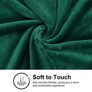 Dekoresyon Fleece Throw Blanket, Plush Fuzzy Bed Blanket Super Soft Lightweight Flannel Blankets for Couch Bed Sofa, (Green, 50x60 Inches)