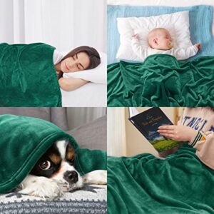 Dekoresyon Fleece Throw Blanket, Plush Fuzzy Bed Blanket Super Soft Lightweight Flannel Blankets for Couch Bed Sofa, (Green, 50x60 Inches)