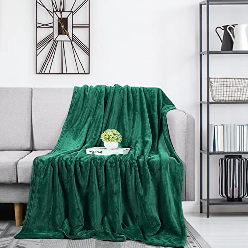 Dekoresyon Fleece Throw Blanket, Plush Fuzzy Bed Blanket Super Soft Lightweight Flannel Blankets for Couch Bed Sofa, (Green, 50x60 Inches)