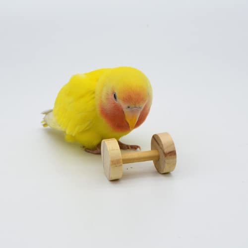 Parrot Bird Toy Supplies Gnawing Dumbbell Weight Lifting Training Intelligence Development Props Bird Tools for Parrots Budgie Parakeet Cockatiel Cockatoo Conure