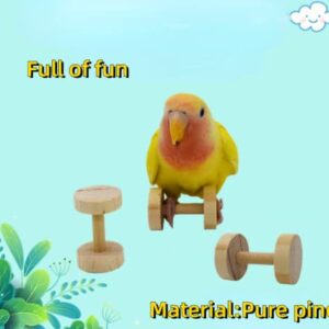 Parrot Bird Toy Supplies Gnawing Dumbbell Weight Lifting Training Intelligence Development Props Bird Tools for Parrots Budgie Parakeet Cockatiel Cockatoo Conure