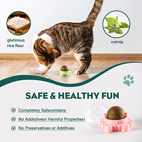 Catnip Ball Toy for Cats Wall 4 Pack Cat Nips Organic Ball Edible Kitten Toys Interactive Cat Lick Chew Toy Indoor Cat Toy Treats for Cat Teeth Cleaning Relieve Cat Anxiety