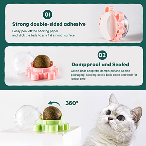 Catnip Ball Toy for Cats Wall 4 Pack Cat Nips Organic Ball Edible Kitten Toys Interactive Cat Lick Chew Toy Indoor Cat Toy Treats for Cat Teeth Cleaning Relieve Cat Anxiety