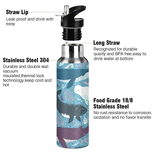 xigua Whale Water Bottle with Straw Lid Vacuum Insulated Stainless Steel Thermo Flask for Sports Cycling Hiking School Home,20 oz.