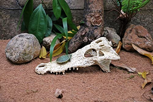 Crocodile Reptile Amphibian Skull Habitat Hide - Premium Non-Toxic Resin for Aquariums & Terrariums – Large Size