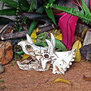 Dinosaur Triceratops Skull Reptile Amphibian Habitat Hide – Premium Non-Toxic Resin for Aquariums & Terrariums – Large Size