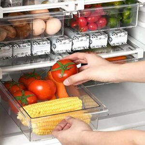 2 Pack Fridge Drawer Organizer, Refrigerator Storage Bins Box, 12" Length, Refrigerator Pull out Under Shelf Holder Vegetable Veggies Fruit Container