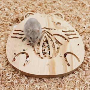 Dnoifne Guinea Pig Foraging Toys, Wooden Hamster Enrichment Toys, Interactive Hide Feeding Toys, Feeding Cage Accessories for Small Animals Puppy Kitten Rats Hamster Rabbit Chinchilla Bunny Rabbits