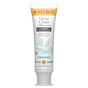 Burt’s Bees Toothpaste, Natural Flavor, Fluoride Toothpaste Deep Clean + Whitening, Mountain Mint, 4.7 oz each , (Pack of 3)