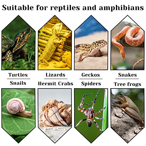 Hamiledyi Coconut Fiber Substrate Reptile Terrarium Bedding Organic Loose Hermit Crab Habitat Coco Fiber for Tortoise Crested Gecko Lizards Frogs Tarantulas (2 Pack)