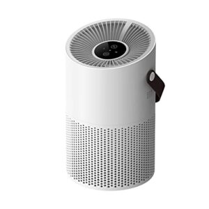 air purifier for home large room pets and dust portable air purifiers for dorm room with true hepa filter effectively remove 99.97% of dust smoke dander pollen odors(usb charging)